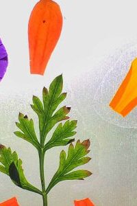 Botanical Suncatchers